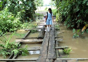 Pescadores de lapices