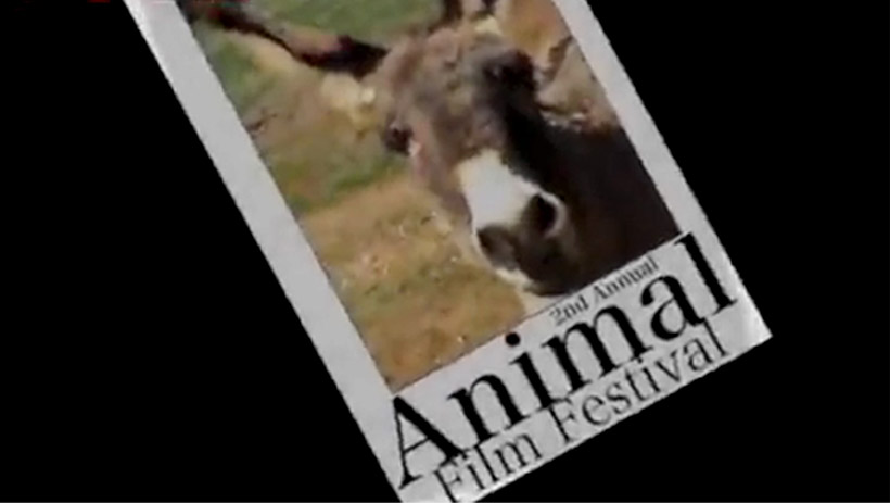 Celebran Festival de Cine Animal con comedia